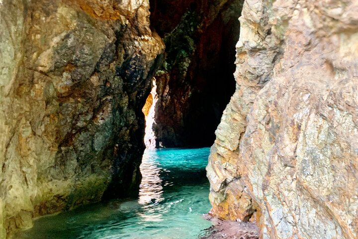 Family Snorkel Safari. ️Private boat! - Photo 1 of 25
